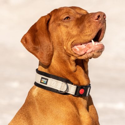 Zoom bild av hundhalsband rukka beige