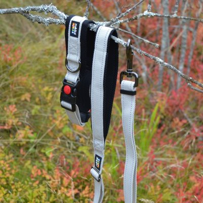 Zoom bild av hundhalsband rukka beige