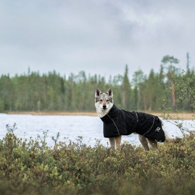 Zoom bild av hundtäcke regntäcke