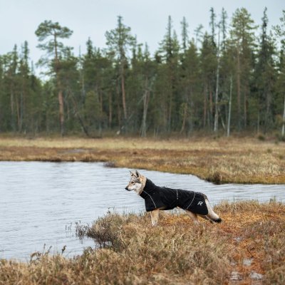 Zoom bild av hundtäcke regntäcke