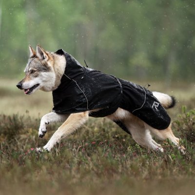 Zoom bild av hundtäcke regntäcke