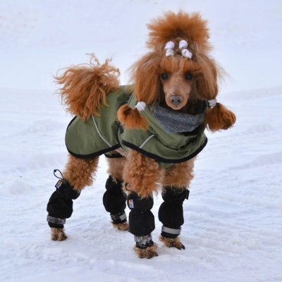 Zoom bild av rukka line leg covers black 2pcs hundskydd ben vattenavvisande benöverdrag hund reflekterande hundtillbehör skyddar mot smuts oc