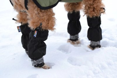 Zoom bild av rukka line leg covers black 2pcs hundskydd ben vattenavvisande benöverdrag hund reflekterande hundtillbehör skyddar mot smuts oc