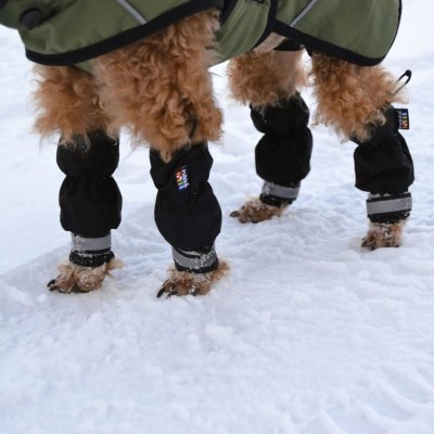 Zoom bild av rukka line leg covers black 2pcs hundskydd ben vattenavvisande benöverdrag hund reflekterande hundtillbehör skyddar mot smuts oc