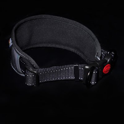 Zoom bild av hundhalsband reflex