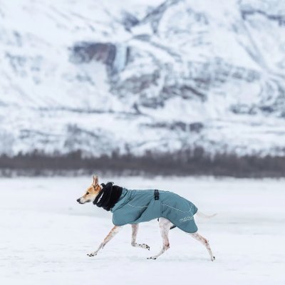 Zoom bild av Rukka Pets Plush Tube Scarf black hundhalsduk svart reflex halsduk hund vinter scarf värmande hundtillbehör skydd för hundens ör
