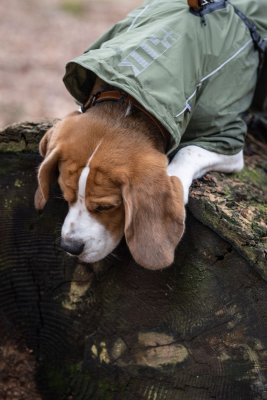 Zoom bild av Rukka Sky Regntäcke Olivgrön