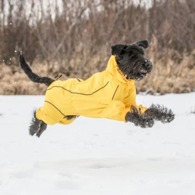 Zoom bild av rukka protect overall yellow gul hundoverall regnoverall regntäcke hund regnställ vattentätt justerbart