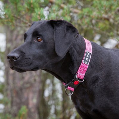 Zoom bild av hundhalsband reflex svart rukka