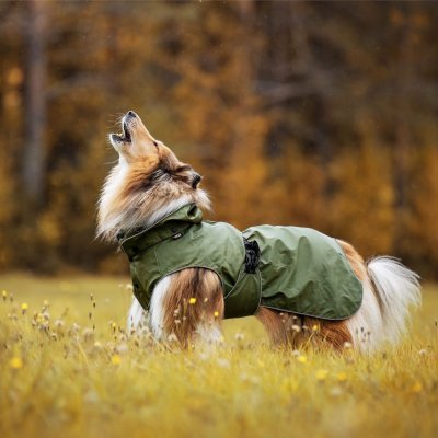 Zoom bild av regntäcke hundtäcke