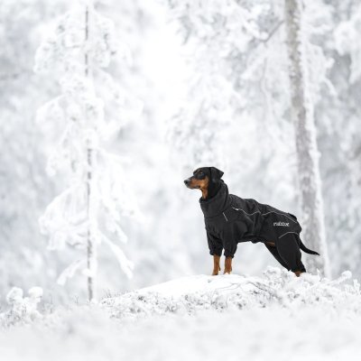 Zoom bild av hundoverall vinteroverall varm vintertäcke hundtäcke hundkläder varmt vinter kallt hund rukka svart