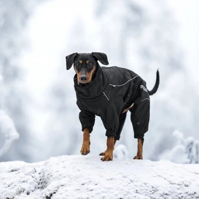 Zoom bild av hundoverall vinteroverall varm vintertäcke hundtäcke hundkläder varmt vinter kallt hund rukka svart