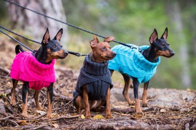 Zoom bild av rukka wooly knitwear rosa pink hundtröja stickad hemstickad stil flätstickad myströja varm ullblandning ulltröja