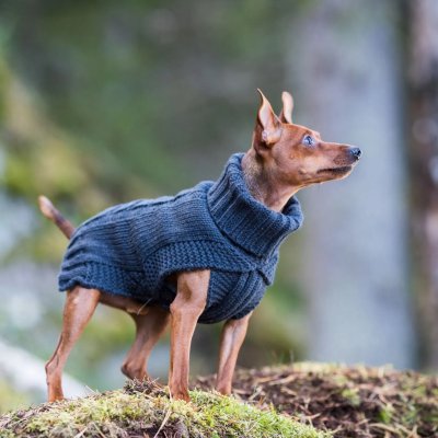 Zoom bild av rukka wooly knitwear mörkgrå hundtröja stickad hemstickad stil dark grey d.grey flätstickad myströja varm ullblandning ulltröja