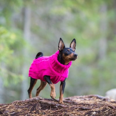 Zoom bild av rukka wooly knitwear rosa pink hundtröja stickad hemstickad stil flätstickad myströja varm ullblandning ulltröja