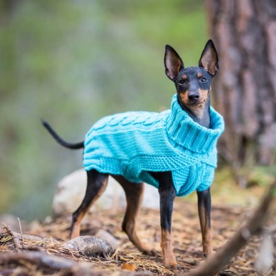 Zoom bild av rukka wooly knitwear turkos ljusblå aqua hundtröja stickad hemstickad stil flätstickad myströja varm ullblandning ulltröja