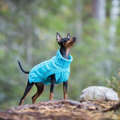 Zoom bild av rukka wooly knitwear turkos ljusblå aqua hundtröja stickad hemstickad stil flätstickad myströja varm ullblandning ulltröja