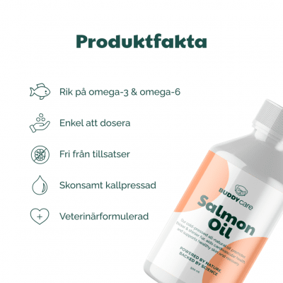 Zoom bild av laxolja salmon oil kosttillskott omega3 hund katt vitamin nyttigt buddy naturligt