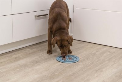 Zoom bild av Slow Feed fodermatta, TPE, ø 24 cm