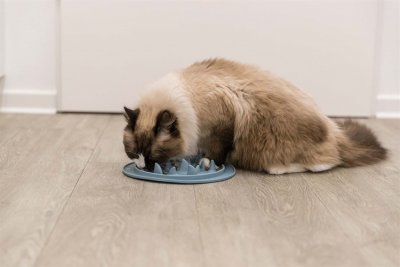 Zoom bild av Slow Feed fodermatta, TPE, ø 24 cm