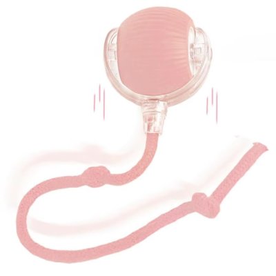 Zoom bild av kattleksak smart robot boll svansboll viral sociala medier tiktok laddningsbar leksaksboll kattboll leksak katt röd grön grå