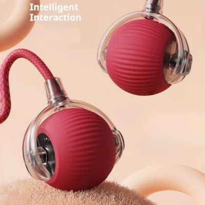 Zoom bild av kattleksak smart robot boll svansboll viral sociala medier tiktok laddningsbar leksaksboll kattboll leksak katt röd grön grå