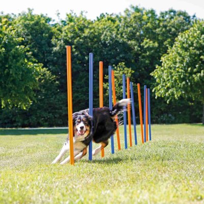 Zoom bild av Agility 12 st Slalompinnar Plast 115 cm