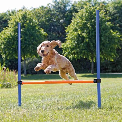 Zoom bild av Agility Hopphinder Plast 123 x 115 cm