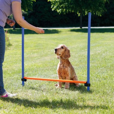 Zoom bild av Agility Hopphinder Plast 123 x 115 cm