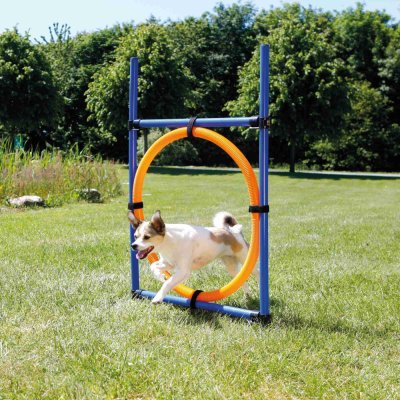 Zoom bild av Agility Hoppring Plast 78 x 65 x 115 cm