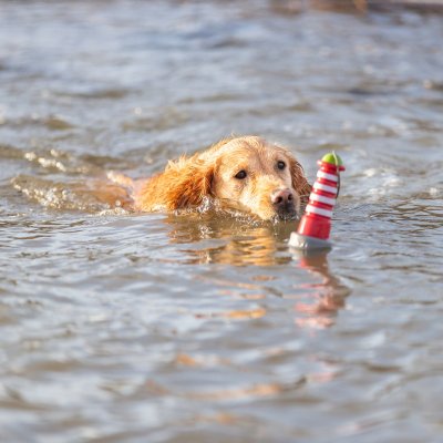 Zoom bild av hundleksak flytande fyr gummi tpr vattenleksak hund rep kasta apport röd grå vit grön synlig står upp i vattnet trixie
