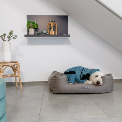 Zoom bild av Trixie Badrock och hemoverall, petrol blå turkos svart hundbadrock