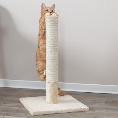 Zoom bild av Beige klöspelare Robust bottenplatta 62 cm hög Perfekt för katter Hållbar design Stilren klösställning Kattsäker konstrukt