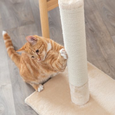 Zoom bild av Beige klöspelare Robust bottenplatta 62 cm hög Perfekt för katter Hållbar design Stilren klösställning Kattsäker konstrukt