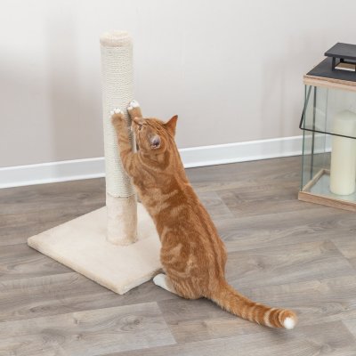 Zoom bild av Beige klöspelare Robust bottenplatta 62 cm hög Perfekt för katter Hållbar design Stilren klösställning Kattsäker konstrukt