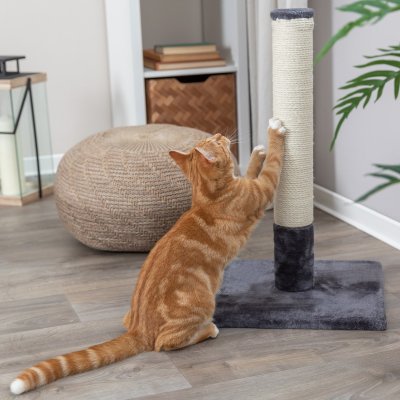 Zoom bild av klöspelare kattklös klösmöbel klöspinne grå beige sisal trixie