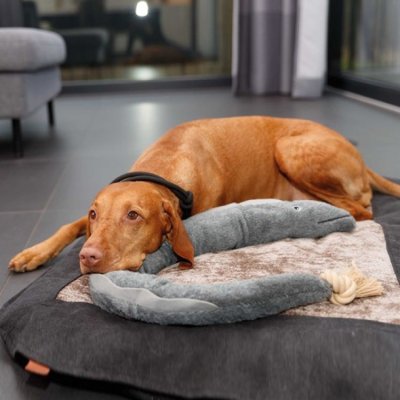 Zoom bild av hållbar hundleksak plyschleksak med rep interaktiv leksak för hund bästa hundleksaken för stora hundar slitstark mjuk leksak för