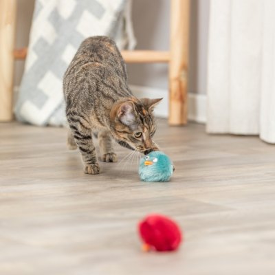 Zoom bild av kattleksak bjällerboll bjällra kattlek fluffboll rolig leksak katt rasslar 6 cm blandade färger fluff trixie