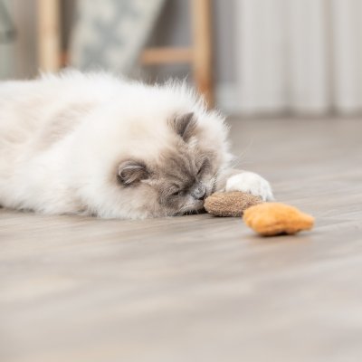 Zoom bild av kattleksak plysch björn kattmynta catnip polyester rolig leksak katt fluff 8 cm trixie flera färger beige blå röd gul