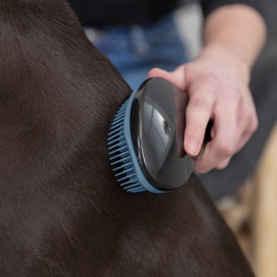 Zoom bild av tangleborste soft borste hundborste kattborste hund katt pälsvård mjuk borste blå svart plast trixie