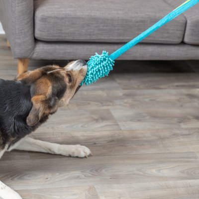 Zoom bild av hundleksak dragleksak dummy bungee expander polyester rya tugg dragkamp kampleksak grön trixie