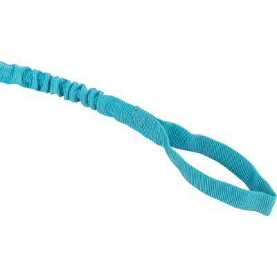 Zoom bild av hundleksak