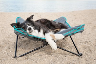 Zoom bild av Campingsäng fältsäng hund hundcamping fällsäng utflykt hund hopfällbar grå petrol trixie hundbädd