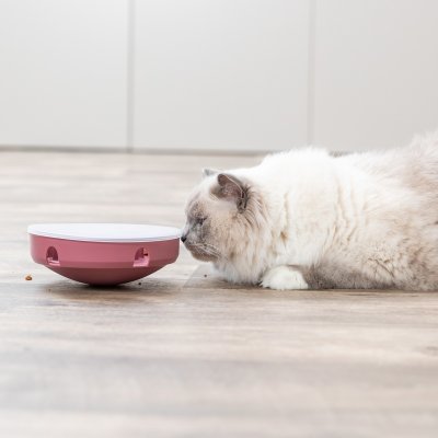 Zoom bild av kattleksak aktivering katt kattaktivering kattpussel aktiveringspussel jaktbeteende katt leksak godisgömma snacksgömma slow feed