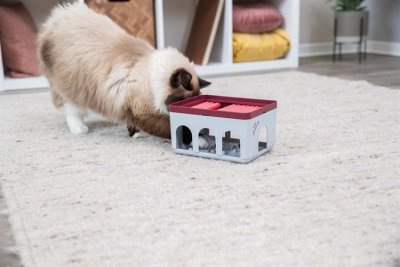 Zoom bild av Cat Activity Rod Box, 20 × 12 × 16 cm
