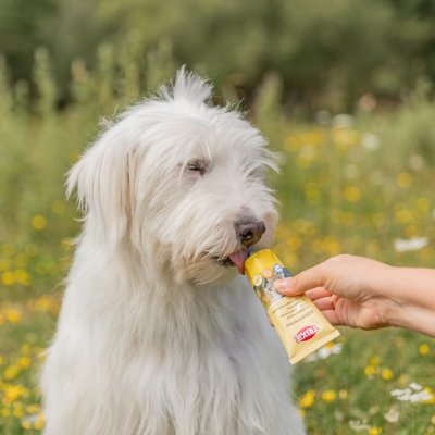 Zoom bild av Trixie Cheese Cream tubgodis, 75 g hundgodis tub belöning smidgt enkelt ostkräm