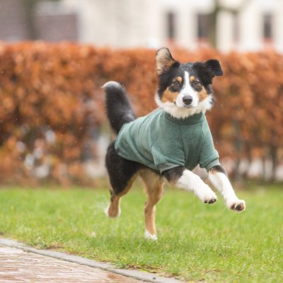 Zoom bild av CityStyle Amsterdam sweatshirt, mörkgrön