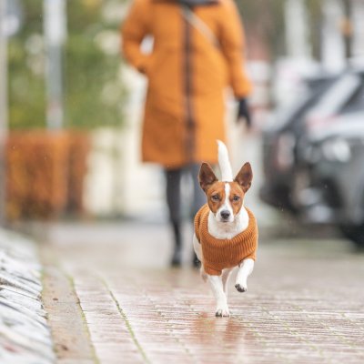 Zoom bild av CityStyle Berlin pullover, rostbrun