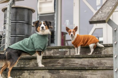 Zoom bild av CityStyle Berlin pullover, rostbrun