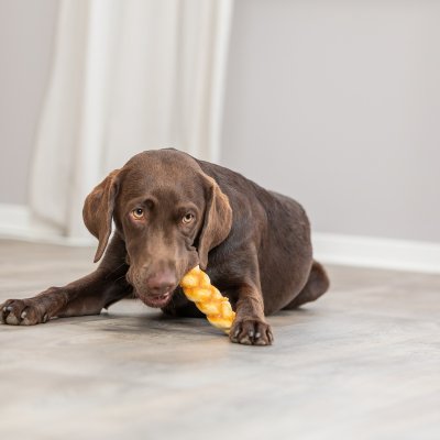 Zoom bild av hundtugg tuggpinne tuggben tuggfläta kollagen kyckling skonsamt naturligt glutenfritt utan tillsatt socker trixie denta fun
